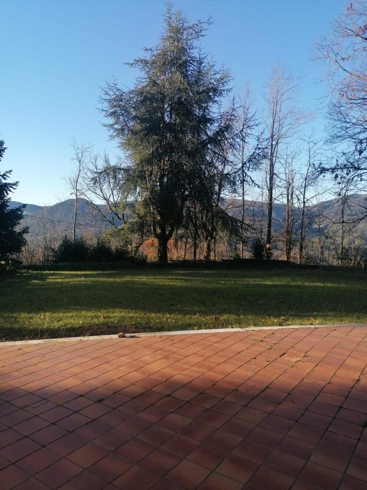 Le Camelie Holiday home
